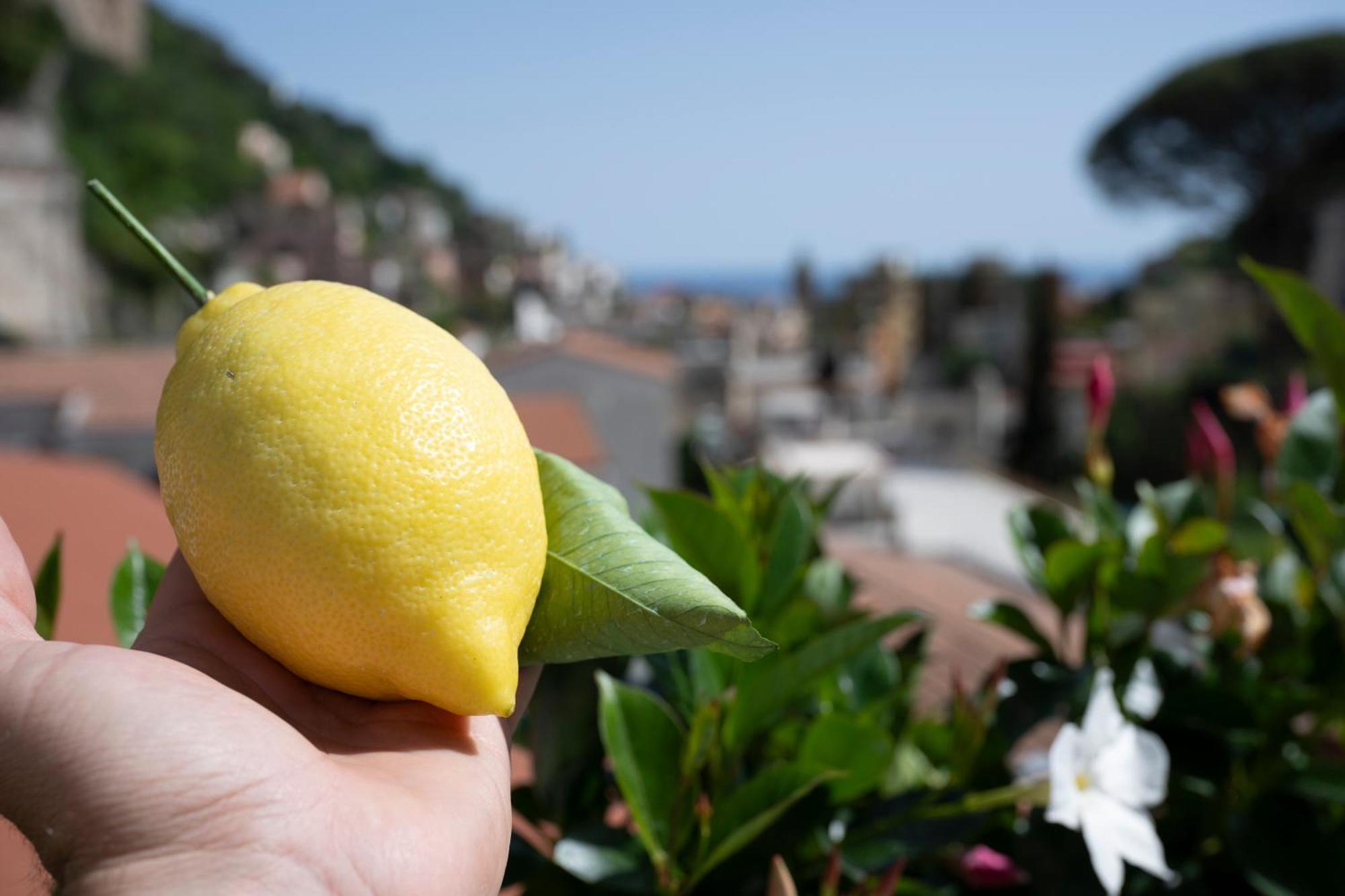 Valle D'Amalfi Suites المظهر الخارجي الصورة